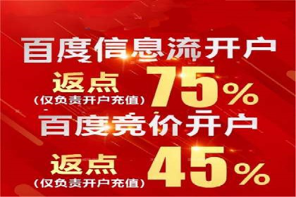 sem百度竞价实战：成功案例解析